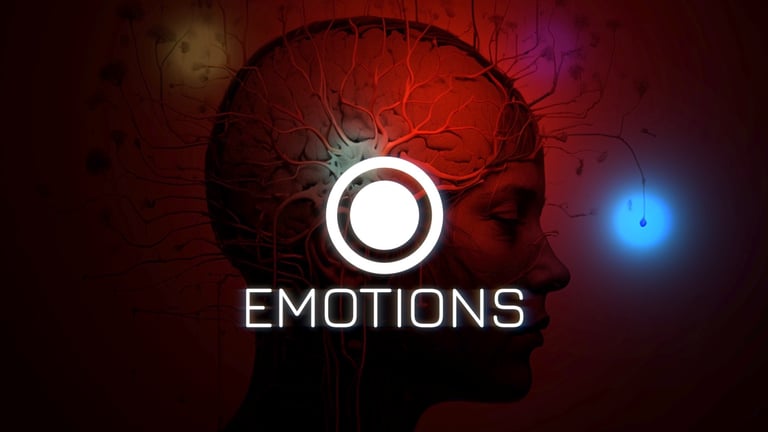 Susan Ibitz - Motion Design · Video Post-Production